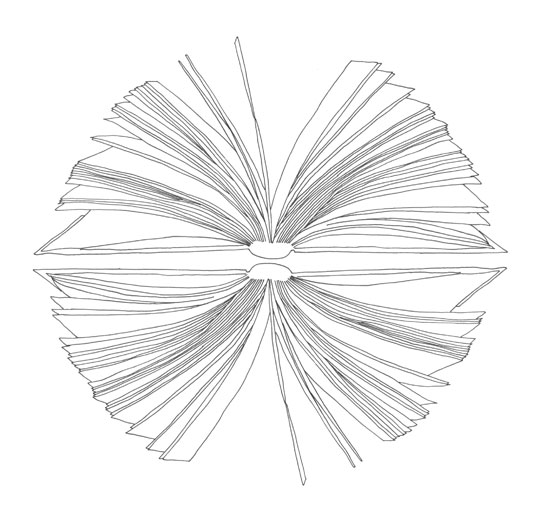 De Protagonist Asymptote