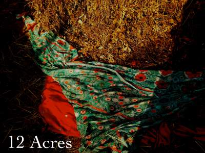 12acres1 cover__1443414344_50.81.118.225