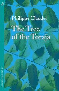 Tree+of+the+Toraja_TPB+F_20mm