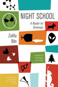 Zsofia Ban Night School