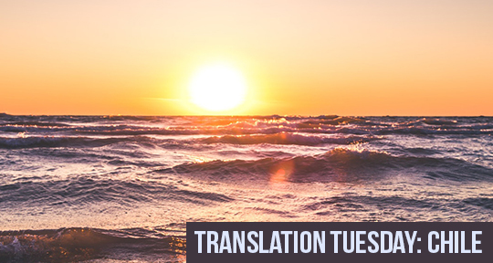 Translation Tuesday: Three essays from “The Heart of a Dog” by