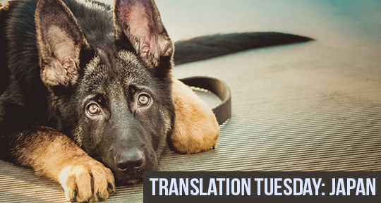 Translation Tuesday: Three essays from “The Heart of a Dog” by