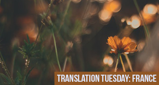 translation tuesday – Asymptote Blog