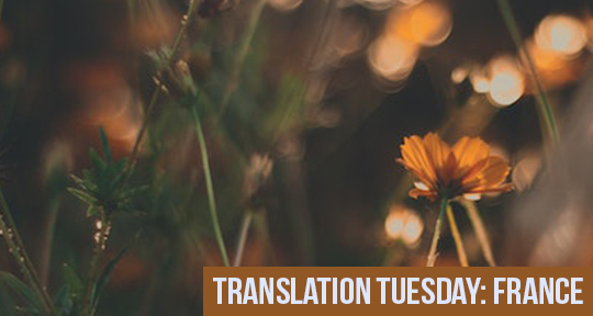 Translation Tuesday! !Oi Português!