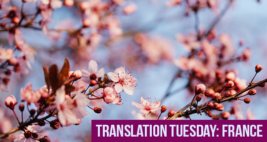 Translation Tuesday! !Oi Português!