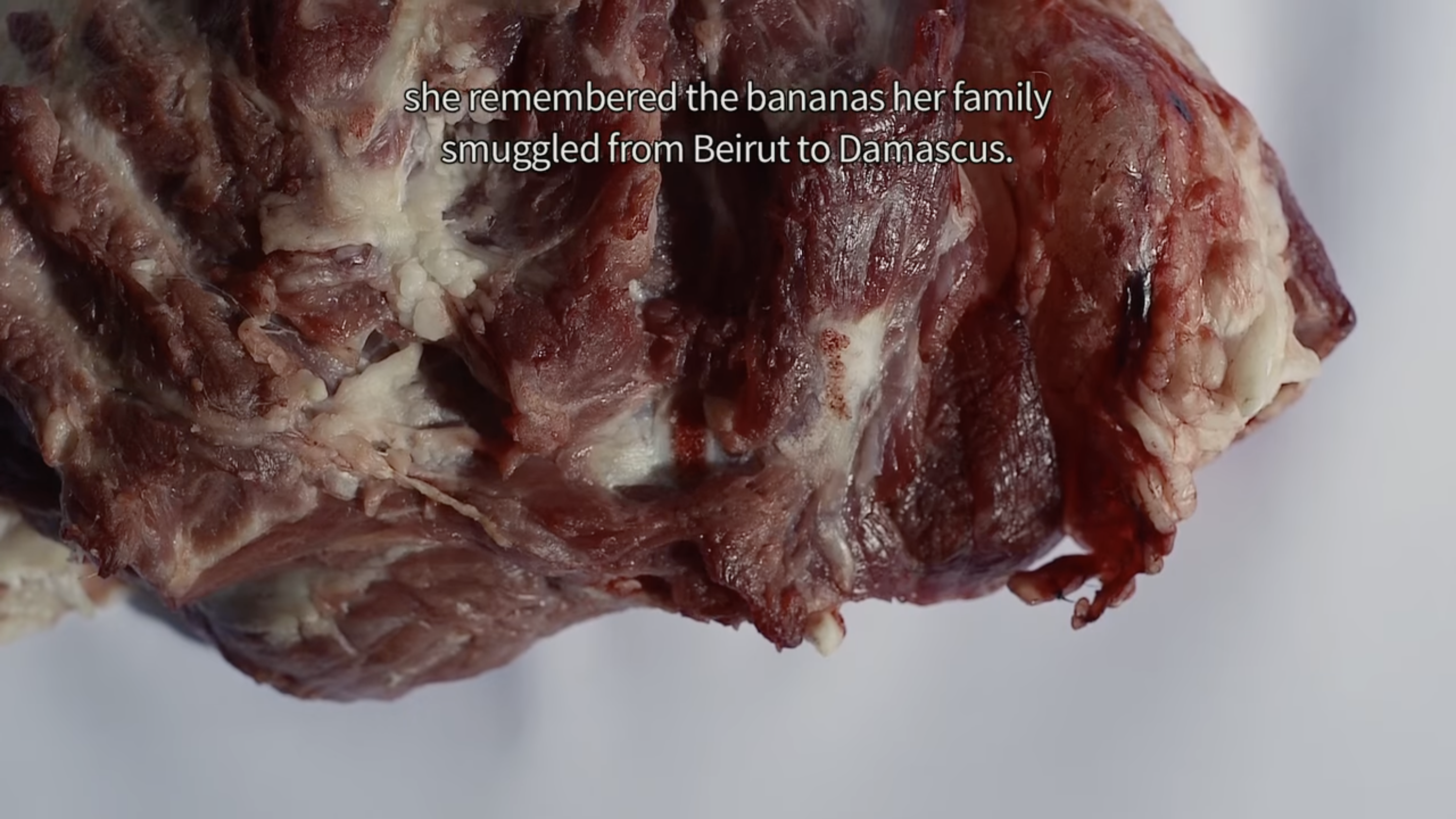 Visual Spotlight: Mounira Al Solh on War, Refugees, and the Scatter -  Asymptote Blog