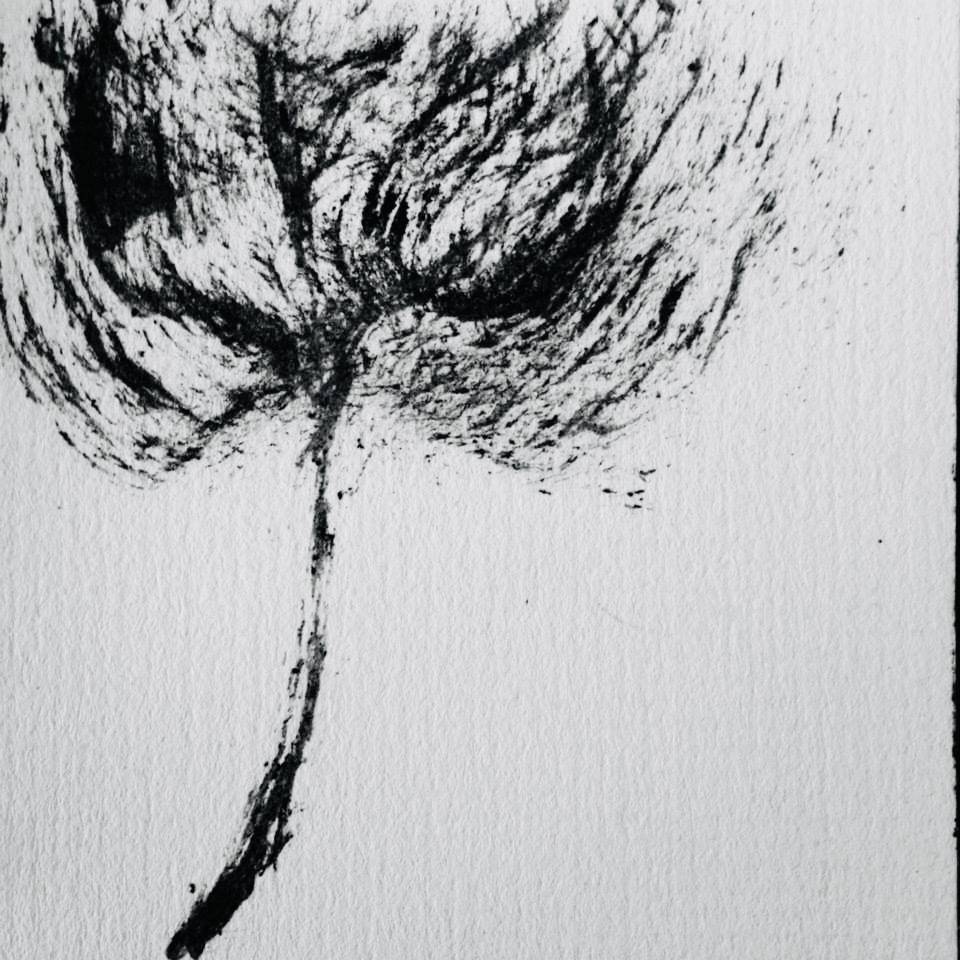 image007