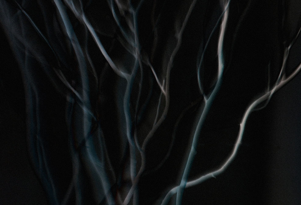 Artwork by Xin Lui Ng