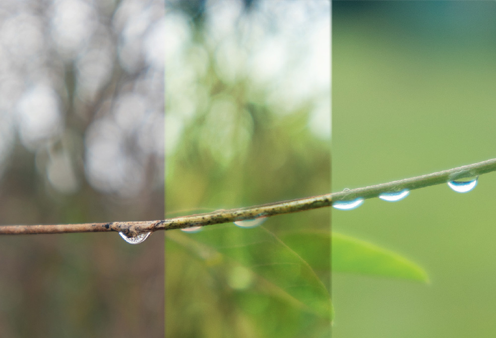 Asymptote Text Cover Draft